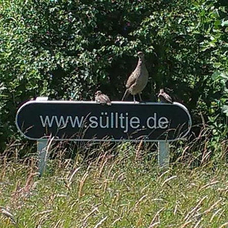 Apartment Huus Suelltje Achter'n Diek Spiekeroog